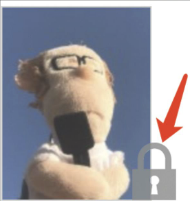 图片 11.png